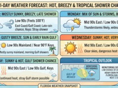Sizzling Skies and Tropical Sighs: Your Mid-July Weather Breakdown