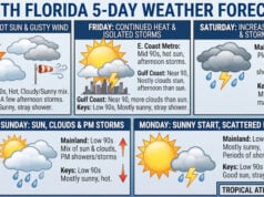 Sizzling Temps and Scattered Storms Ahead for South Florida