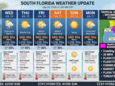 Hot, Sunny Week Ahead for South Florida as Gulf Coast Prepares for Tropical Depression #2
