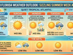 South Florida Sizzles as a Scorching Summer Week Lies Ahead