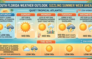 South Florida Sizzles as a Scorching Summer Week Lies Ahead