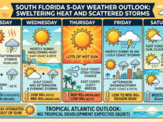 Sweltering Mid-90s Heat And Scattered Storms Dominate South Florida As Tropics Stay Quiet