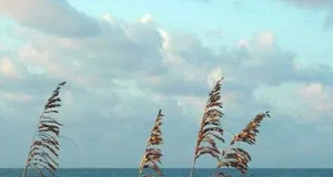 St. George Island Florida Vacation Guide
