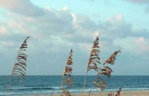 St. George Island Florida Vacation Guide