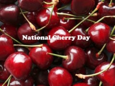 https://www.magnific.com/premium-photo/fresh-sweet-cherries-closeup_423977534.htm#fromView=search&page=1&position=44&uuid=33ab72bb-f57c-4bec-aa55-2d989748d887&query=cherries