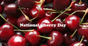 Cherries Reduce Inflammation, Aid In Weight Loss, And Improve Heart Health. https://www.magnific.com/premium-photo/fresh-sweet-cherries-closeup_423977534.htm#fromView=search&page=1&position=44&uuid=33ab72bb-f57c-4bec-aa55-2d989748d887&query=cherries