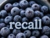 Frozen Blueberries Recalled in 8 States After Being Linked to E. Coli Outbreak https://www.magnific.com/app/ai-image-generator#from_element=mainmenu&from_view=pinned_tool