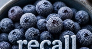 Frozen Blueberries Recalled in 8 States After Being Linked to E. Coli Outbreak https://www.magnific.com/app/ai-image-generator#from_element=mainmenu&from_view=pinned_tool