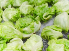 Cyclosporiasis Outbreak Spreads Nationally as FDA and CDC Launch Investigations (Video) https://www.vecteezy.com/photo/27222314-fresh-whole-green-iceberg-lettuces-on-iced-in-grocery