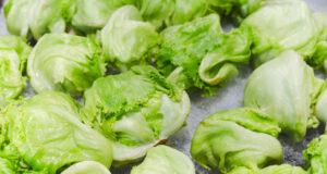 https://www.vecteezy.com/photo/27222314-fresh-whole-green-iceberg-lettuces-on-iced-in-grocery
