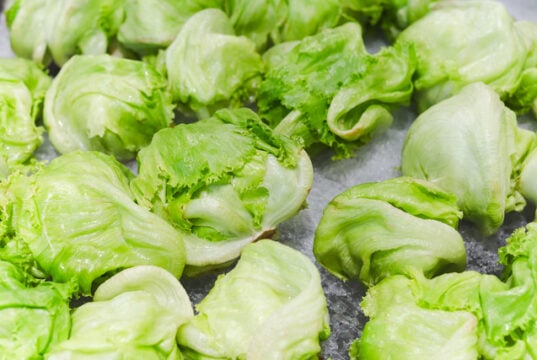 https://www.vecteezy.com/photo/27222314-fresh-whole-green-iceberg-lettuces-on-iced-in-grocery