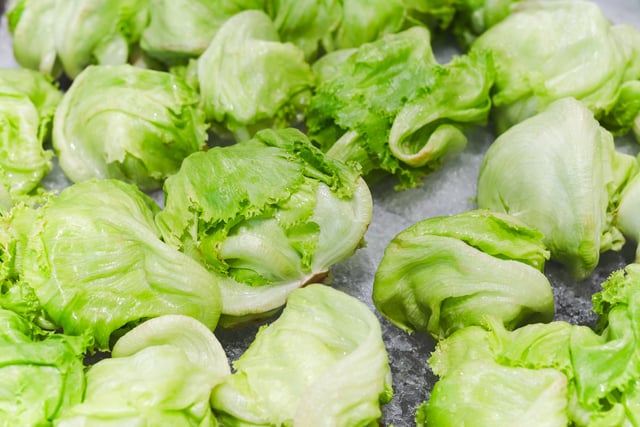 Fresh whole green iceberg lettuces on iced in grocery. https://www.vecteezy.com/photo/27222314-fresh-whole-green-iceberg-lettuces-on-iced-in-grocery
