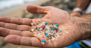 Microplastics Are in Our Bodies. Are They Playing a Role in Heart Attacks? https://www.vecteezy.com/photo/67607945-microplastic-polluted-microplastic-pollution-hand-beach-colorful-environmental-waste-sand-concern-closeup