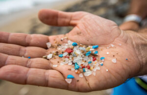 Microplastics Are in Our Bodies. Are They Playing a Role in Heart Attacks? https://www.vecteezy.com/photo/67607945-microplastic-polluted-microplastic-pollution-hand-beach-colorful-environmental-waste-sand-concern-closeup
