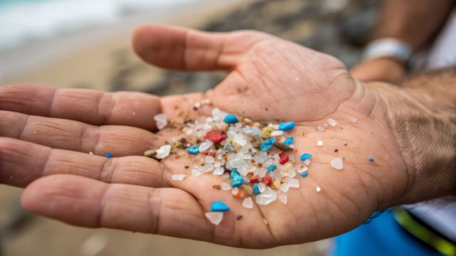https://www.vecteezy.com/photo/67607945-microplastic-polluted-microplastic-pollution-hand-beach-colorful-environmental-waste-sand-concern-closeup