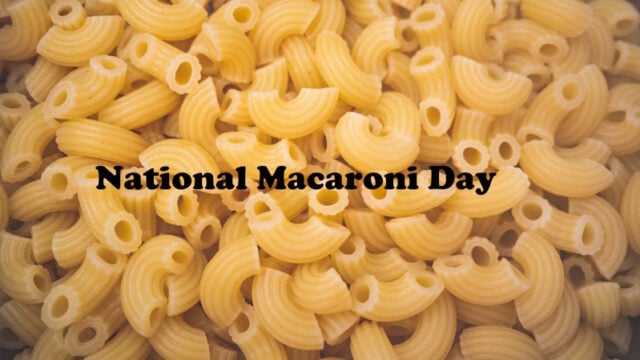 Macaroni pasta elbows cooked texture detail close up photo https://www.vecteezy.com/photo/52307801-macaroni-pasta-elbows-cooked-texture-detail-close-up