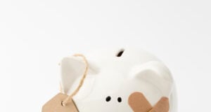 https://www.magnific.com/free-photo/broken-piggy-bank-asking-help_7870553.htm#fromView=search&page=1&position=1&uuid=7aeecba4-be6f-419d-820c-9c85a3cd10e4&query=broken+piggy+bank