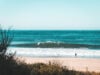 https://www.magnific.com/free-photo/few-surfers-coast-sea_8054686.htm#fromView=search&page=1&position=11&uuid=d3363d9d-c019-4969-8771-ac64f0c96d6a&track=ais_hybrid&query=gulf+coast