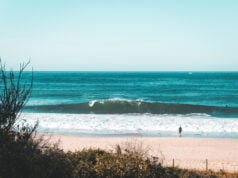 https://www.magnific.com/free-photo/few-surfers-coast-sea_8054686.htm#fromView=search&page=1&position=11&uuid=d3363d9d-c019-4969-8771-ac64f0c96d6a&track=ais_hybrid&query=gulf+coast