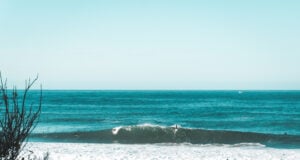 ‘Flesh-Eating’ Bacteria Cases Identified Along the Gulf Coast. How to Stay Safe https://www.magnific.com/free-photo/few-surfers-coast-sea_8054686.htm#fromView=search&page=1&position=11&uuid=d3363d9d-c019-4969-8771-ac64f0c96d6a&track=ais_hybrid&query=gulf+coast