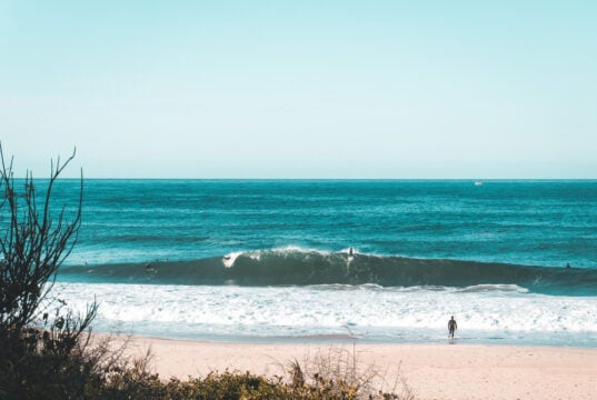 https://www.magnific.com/free-photo/few-surfers-coast-sea_8054686.htm#fromView=search&page=1&position=11&uuid=d3363d9d-c019-4969-8771-ac64f0c96d6a&track=ais_hybrid&query=gulf+coast