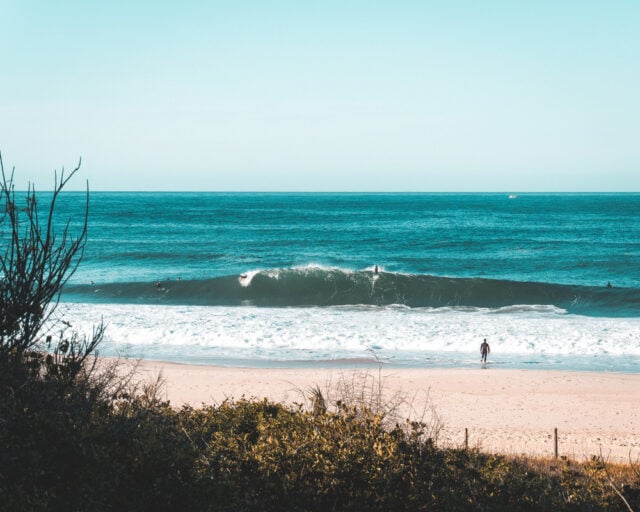 https://www.magnific.com/free-photo/few-surfers-coast-sea_8054686.htm#fromView=search&page=1&position=11&uuid=d3363d9d-c019-4969-8771-ac64f0c96d6a&track=ais_hybrid&query=gulf+coast