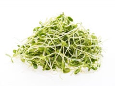 https://www.magnific.com/free-photo/young-botanical-sprouts-vegetarian-nature_1044806.htm#fromView=search&page=1&position=41&uuid=4ba06bfb-a9f7-4e0a-b930-272b65cc2886&track=ais_hybrid&query=alfalfa+sprouts