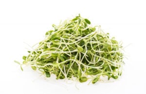 https://www.magnific.com/free-photo/young-botanical-sprouts-vegetarian-nature_1044806.htm#fromView=search&page=1&position=41&uuid=4ba06bfb-a9f7-4e0a-b930-272b65cc2886&track=ais_hybrid&query=alfalfa+sprouts