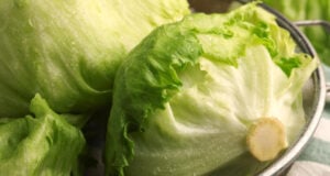 https://www.magnific.com/premium-photo/fresh-green-clean-iceberg-lettuce-heads-leaves-colander-closeup_52109164.htm#fromView=search&page=1&position=38&uuid=d36832ee-f7e4-4562-ab60-28aa1fb56a2d&track=ais_hybrid&query=heads+iceberg+lettuce