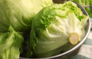 Tracking the Cyclospora Explosion: What You Need to Know as Cases Surpass 10,000 Nationwide In 47 States https://www.magnific.com/premium-photo/fresh-green-clean-iceberg-lettuce-heads-leaves-colander-closeup_52109164.htm#fromView=search&page=1&position=38&uuid=d36832ee-f7e4-4562-ab60-28aa1fb56a2d&track=ais_hybrid&query=heads+iceberg+lettuce