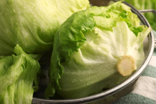 https://www.magnific.com/premium-photo/fresh-green-clean-iceberg-lettuce-heads-leaves-colander-closeup_52109164.htm#fromView=search&page=1&position=38&uuid=d36832ee-f7e4-4562-ab60-28aa1fb56a2d&track=ais_hybrid&query=heads+iceberg+lettuce