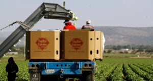 Salsa, Guacamole, and Jalapeños Added to Expanding Taylor Farms Produce Recall