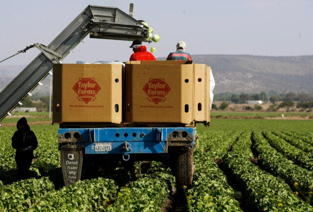 Mexico Offshore Farming