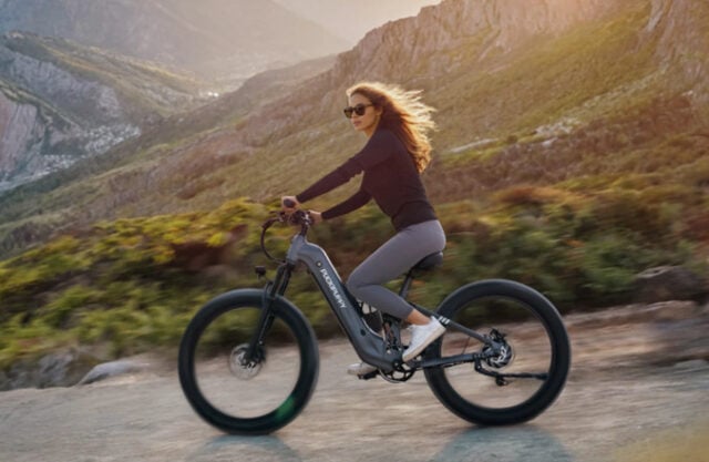 https://www.puckipuppy.com/blogs/buying-guides/4-best-fast-commuter-ebikes-for-urban-riding
