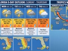 South Florida Weather: Daily Thunderstorms, High Heat, and Tropics Tracking Dolly’s Remnants