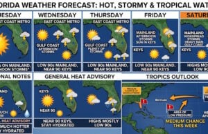 Florida Forecast: Scorching Low-90s Heat, Daily Thunderstorms, and Watching Two Tropical Systems
