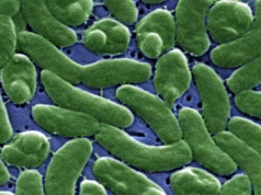Flesh Eating Bacteria Are Devouring Limbs In Warming Waters Worldwide − Here’s How To Protect Yourself (Videos)