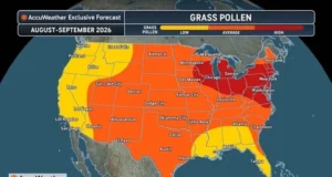 U.S. Fall Allergy Surge: Weed Pollen Rises as Grass Counts Linger (Video)