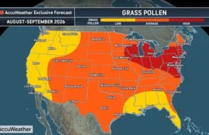 U.S. Fall Allergy Surge: Weed Pollen Rises as Grass Counts Linger (Video)