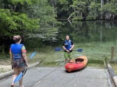 Dive into Nature’s Oasis: A Guide to the Stunning Natural Springs in the Florida Panhandle