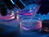 Researchers Discover Immune ‘Off Switch’ Used By Cancer Cells https://www.vecteezy.com/photo/72701838-a-gloved-hand-uses-a-pipette-to-drop-liquid-onto-a-petri-dish-under-a-microscope-the-dish-contains-a-pink-liquid-and-there-are-several-other-dishes-nearby