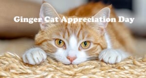 https://www.vecteezy.com/photo/70372704-ginger-cat-resting-on-a-textured-surface