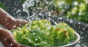 Why You Don’t Need to Avoid Fruits, Veggies During the Cyclospora Outbreak https://www.vecteezy.com/photo/77171076-hands-washing-fresh-green-lettuce-leaves-in-bowl-with-water-splash