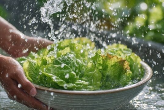 https://www.vecteezy.com/photo/77171076-hands-washing-fresh-green-lettuce-leaves-in-bowl-with-water-splash