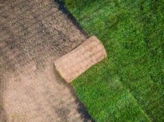 https://www.vecteezy.com/photo/24625965-natural-grass-garden-turfs