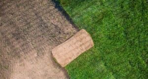 Hydroseed vs. Sod: What to Consider Before Choosing Your New Lawn https://www.vecteezy.com/photo/24625965-natural-grass-garden-turfs