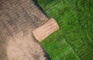 Hydroseed vs. Sod: What to Consider Before Choosing Your New Lawn https://www.vecteezy.com/photo/24625965-natural-grass-garden-turfs