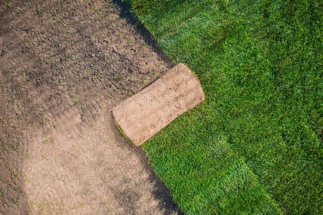 Natural Grass Garden Turfs https://www.vecteezy.com/photo/24625965-natural-grass-garden-turfs