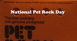 One Of The Accessories Sold For Pet Rocks Was College Degrees, Including A Ph.D., Costing $10 https://commons.wikimedia.org/w/index.php?curid=48411064