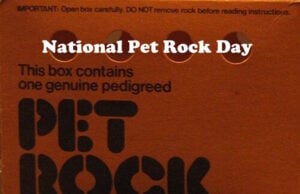 One Of The Accessories Sold For Pet Rocks Was College Degrees, Including A Ph.D., Costing $10 https://commons.wikimedia.org/w/index.php?curid=48411064